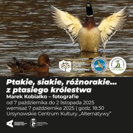 „Ptakie, siakie, różnorakie… z ptasiego królestwa” | fotografie - Marek Kobiałko